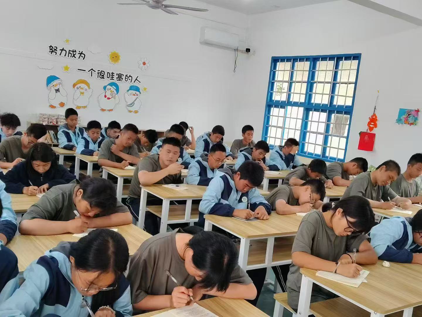 日常学习与文化课环境